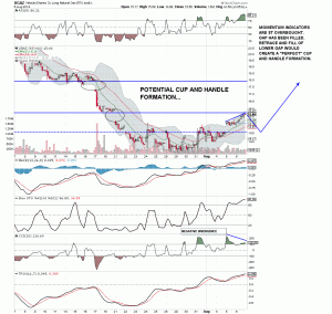 Natural Gas has a future..