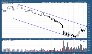 GDX