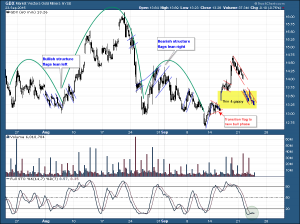 GDX