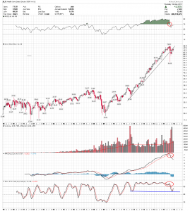 XLV Monthly