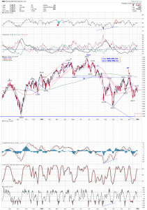 rut daily