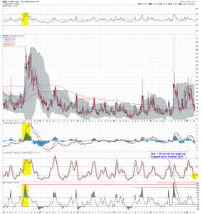 $VIX W