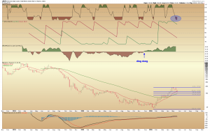 jnug weekly