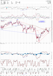 rut daily