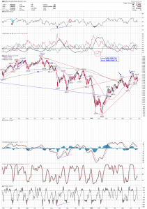 rut daily