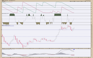 USD MONTHLY