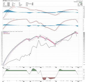 BPGDM Ranko Daily