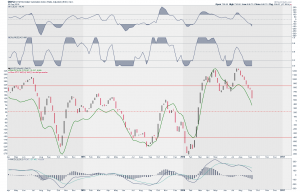 nysi-weekly