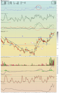 junior-wml-weekly