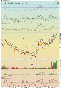 junior-wml-weekly