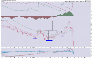 tza-daily